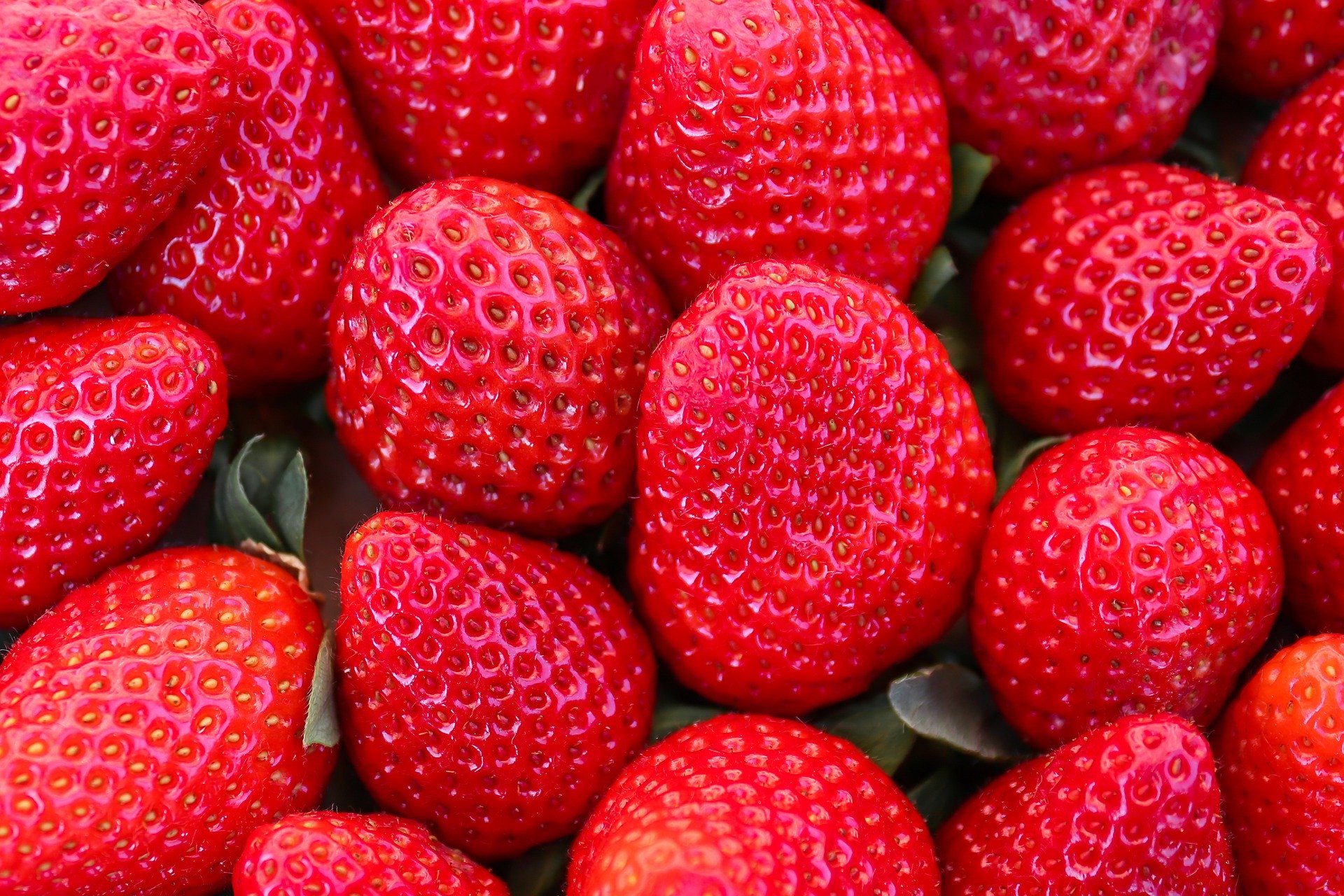 strawberries-5300849_1920