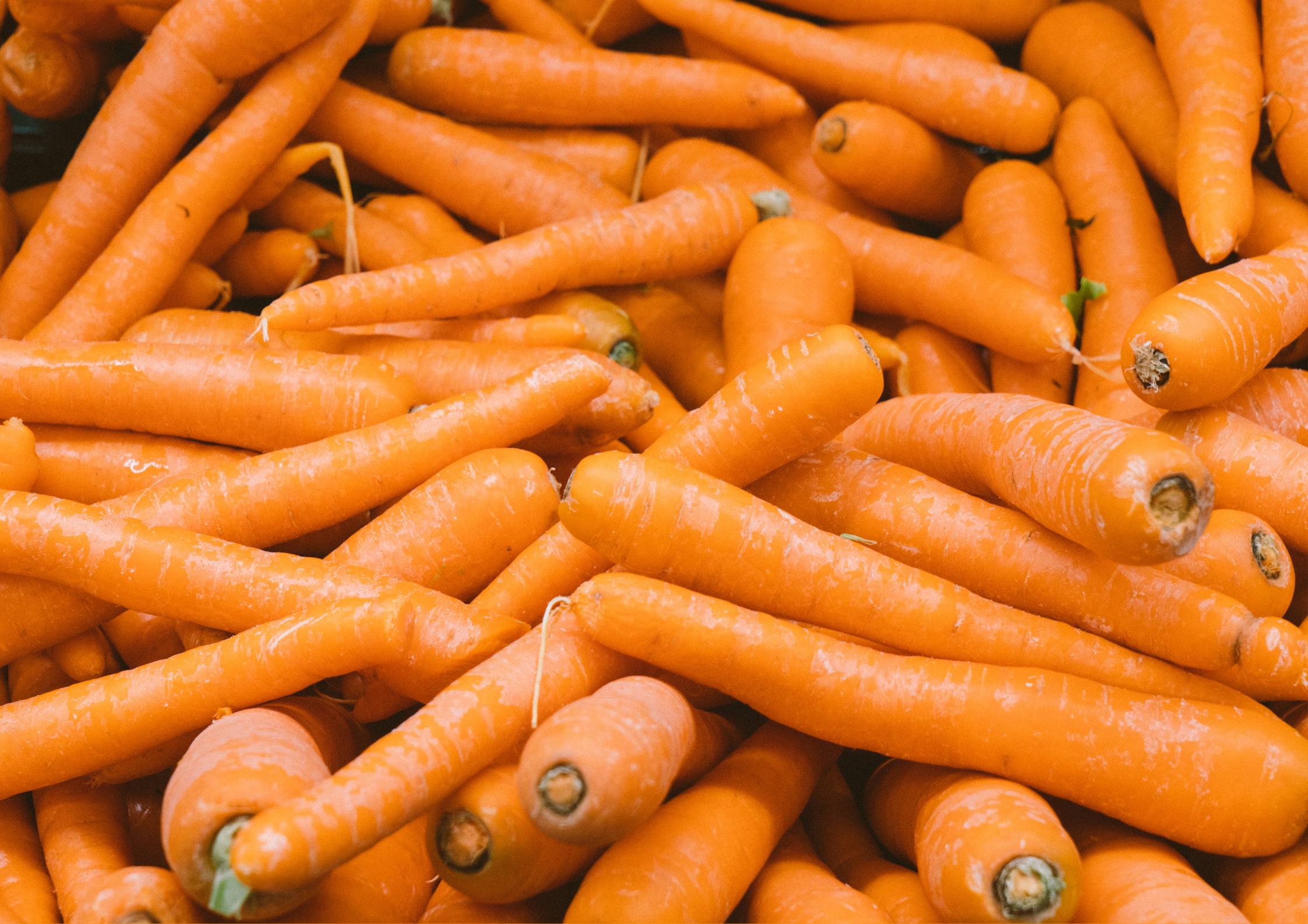 Portage de repas à domicile carottes
